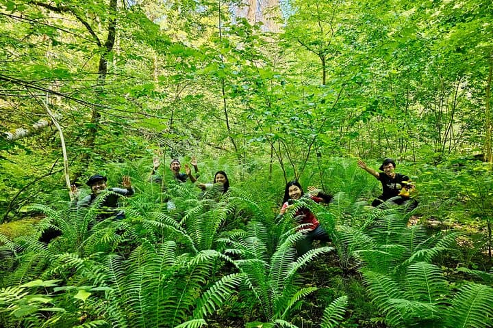 One-Day Gauja National Park Hike: Turaida Castle, Krimulda & Forest Trails photo 5