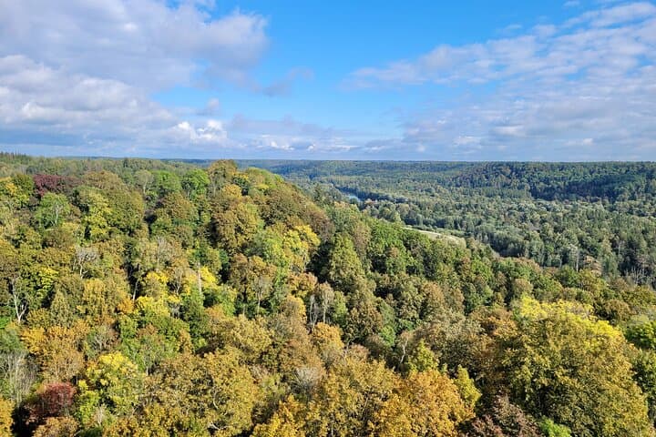 One-Day Gauja National Park Hike: Turaida Castle, Krimulda & Forest Trails photo 3