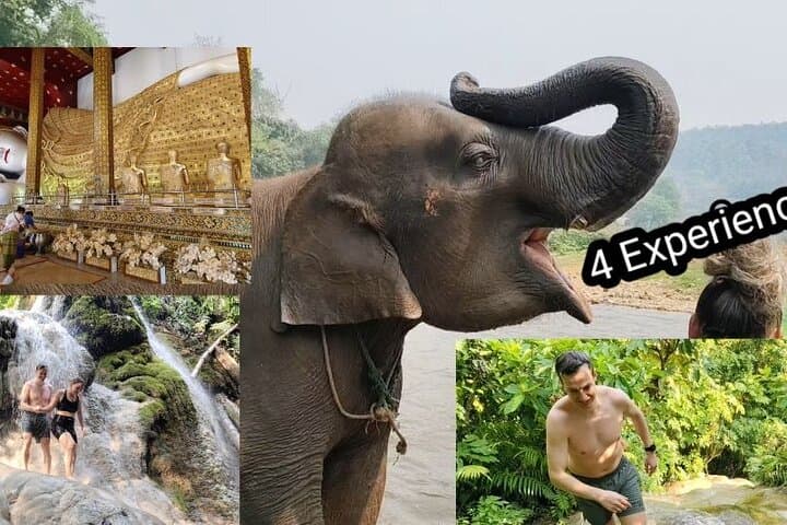 Sticky Waterfalls & Elephant Sanctuary: Chiang Mai Day Trip from the City