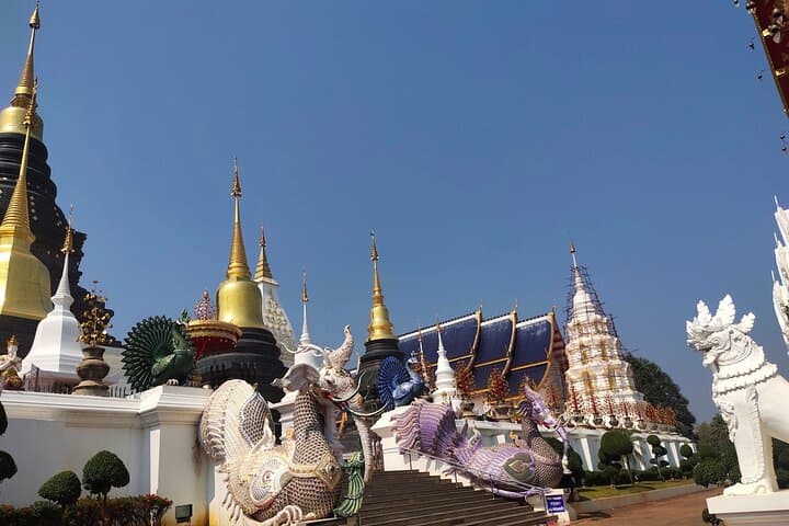 Sticky Waterfalls & Elephant Sanctuary: Chiang Mai Day Trip from the City photo 6