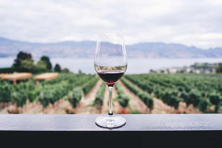 Sorrento, Pompeii & Vesuvius Wine Lunch: A Day of Ruins, Coast Views and Volcanic Wines