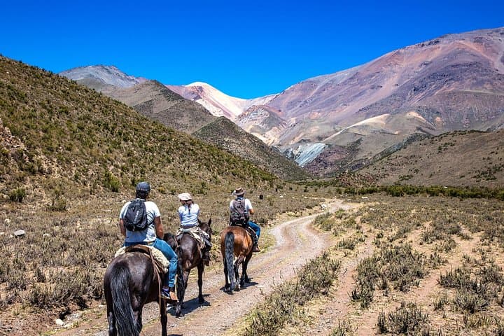 Real Gaucho Day Trip from Mendoza: Horseback Riding & Andes Asado