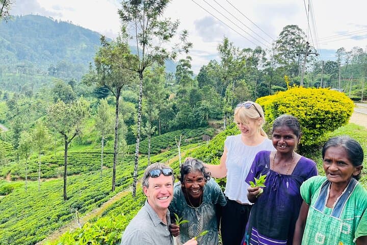 Tailored Sri Lanka Tours: 7-Day Cultural & Nature Journey photo 2