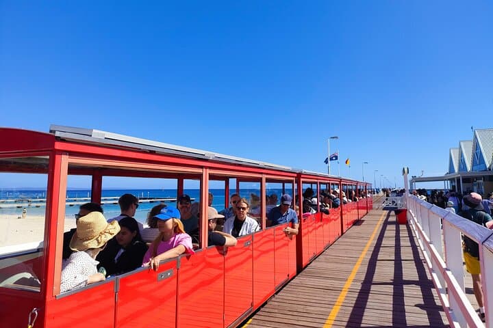 Margaret River Day Tour: Busselton Jetty, Boranup Forest & Voyager Estate