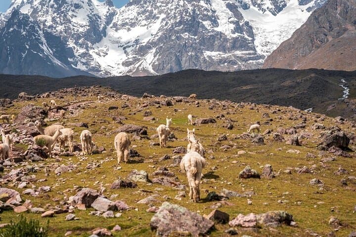Horseback to Ausangate’s 7 Lakes: Full-Day Ride, Picnic & Hot Springs photo 3