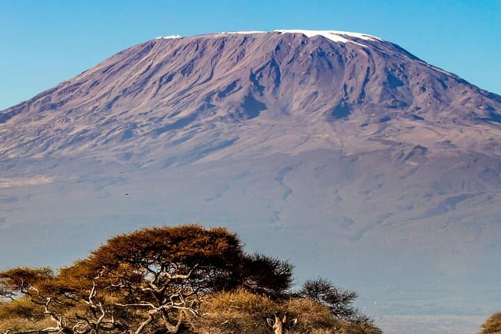 Marangu Route: 5-Day Kilimanjaro Hut-to-Summit (Coca-Cola Route) photo 5