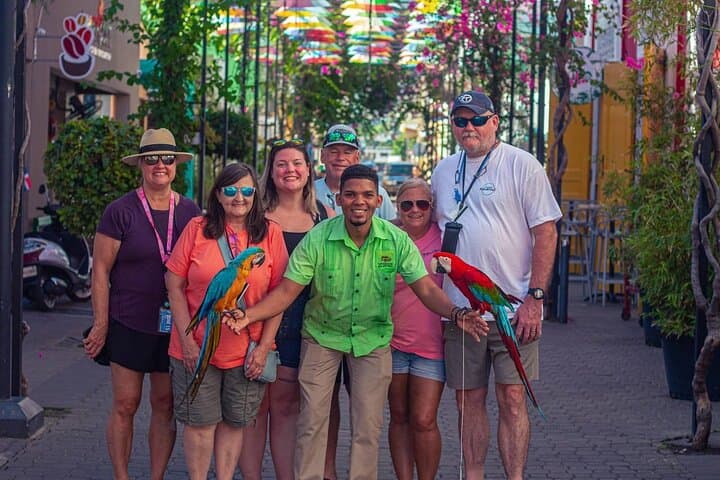 Puerto Plata City Tour: Rum, Amber & San Felipe Fort (Small-Group POP) photo 5
