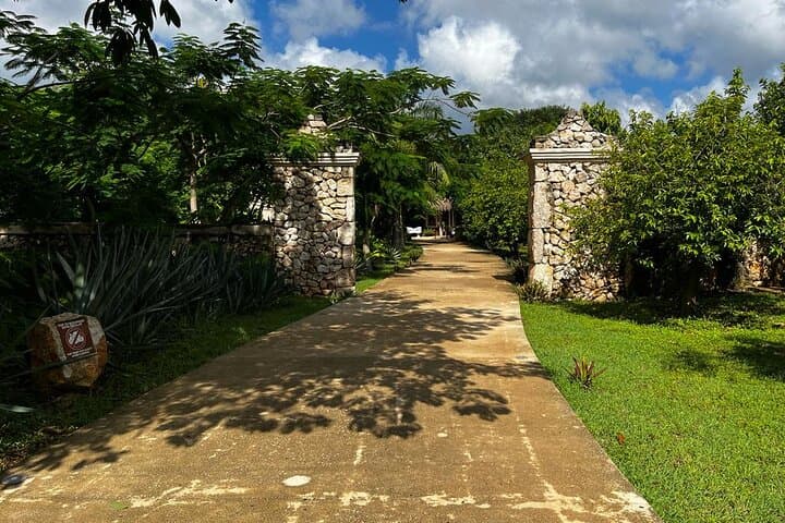 Oxkintok & Hacienda Mucuyché Cenotes Day Trip from Mérida photo 5