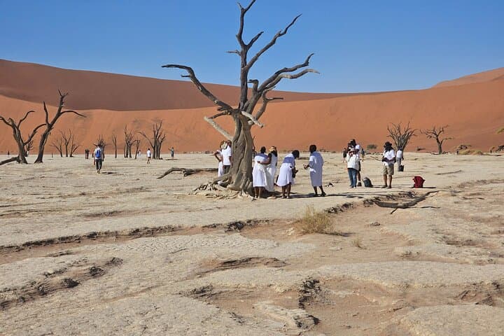 Best of Namibia: 6-Day Swakopmund to Sossusvlei Dunes Tour