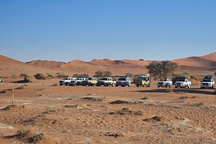 Best of Namibia: 6-Day Swakopmund to Sossusvlei Dunes Tour photo 3