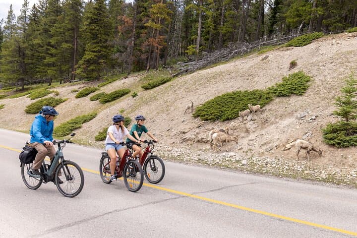 Banff Mountain Lakeside E‑bike Tour: Ride the Minnewanka Loop & Two Jack Lake photo 6