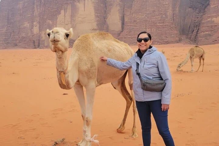 3-Day Jordan Highlights: Jerash, Ajloun, Petra, Wadi Rum & Dead Sea Adventure photo 3