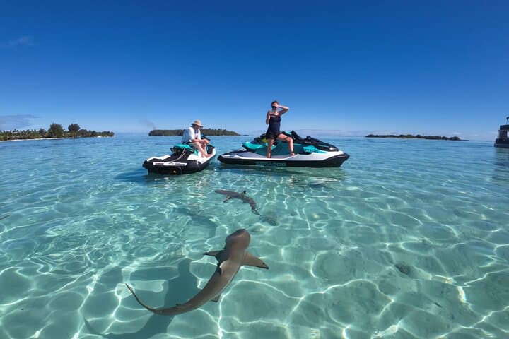 Moorea 3‑Hour Jet Ski Adventure — Swim with Rays, Sharks & Seasonal Whales photo 2