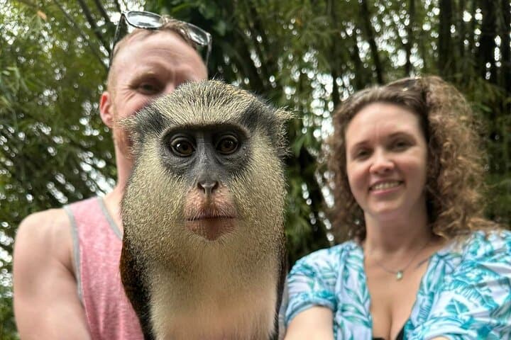 Private Guided Grenada Island Tour By the Hour — Flexible St. George's Excursions photo 2