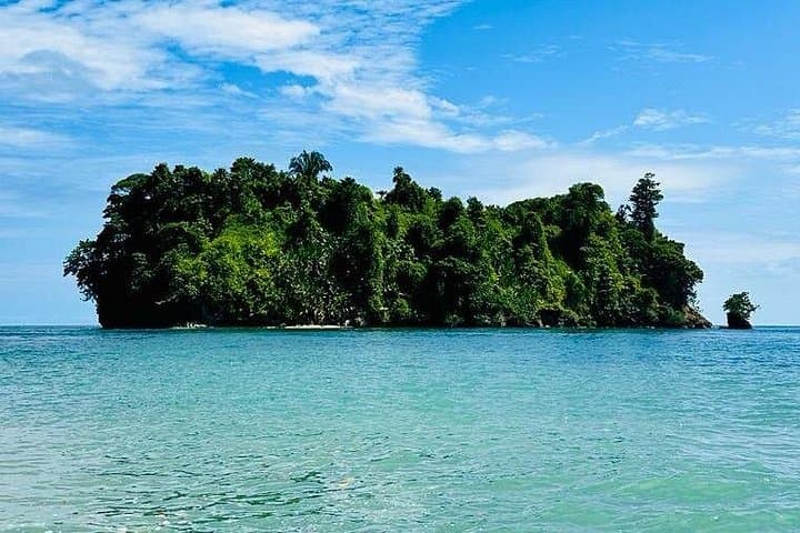Gandoca-Manzanillo Hike and Dolphin-Watching: Caribbean Rainforest to Coastal Wildlife