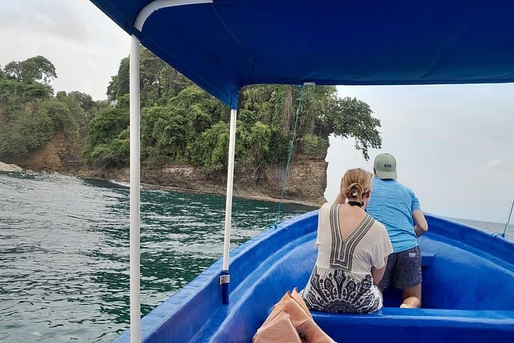 Gandoca-Manzanillo Hike and Dolphin-Watching: Caribbean Rainforest to Coastal Wildlife photo 2