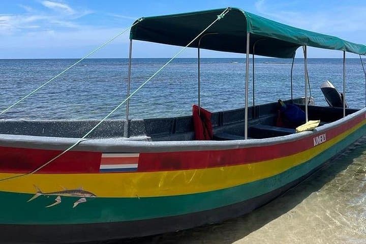 Gandoca-Manzanillo Hike and Dolphin-Watching: Caribbean Rainforest to Coastal Wildlife photo 4