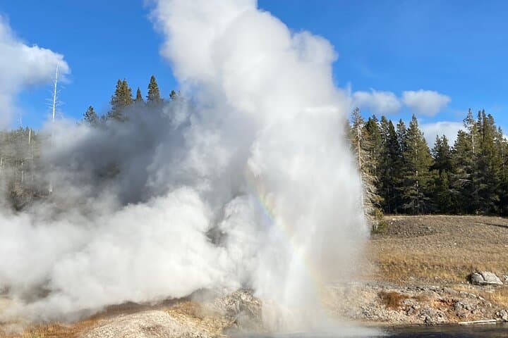 Explore Yellowstone’s South Loop: Ultimate Private Wildlife and Geyser Day Tour photo 3