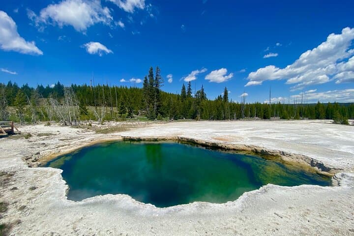 Explore Yellowstone’s South Loop: Ultimate Private Wildlife and Geyser Day Tour photo 4