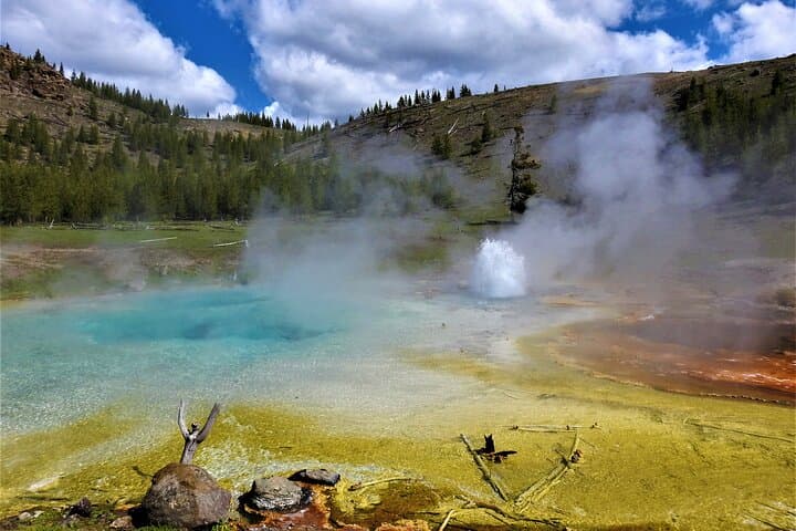 Explore Yellowstone’s South Loop: Ultimate Private Wildlife and Geyser Day Tour photo 6