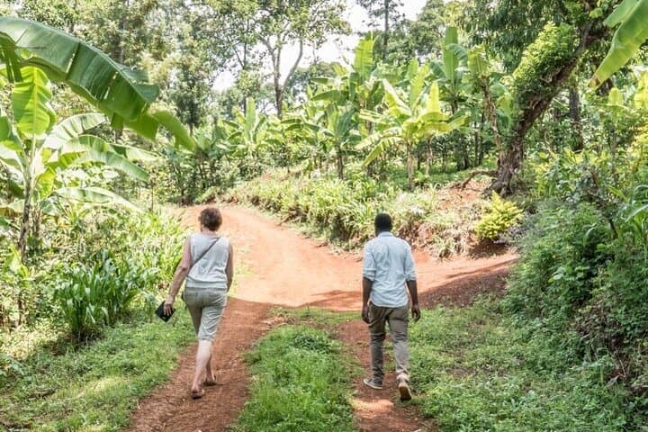 Materuni Waterfalls & Coffee Village Day Trip from Arusha photo 5