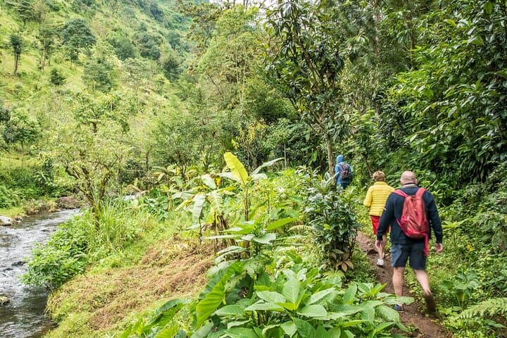 Materuni Waterfalls & Coffee Village Day Trip from Arusha photo 6