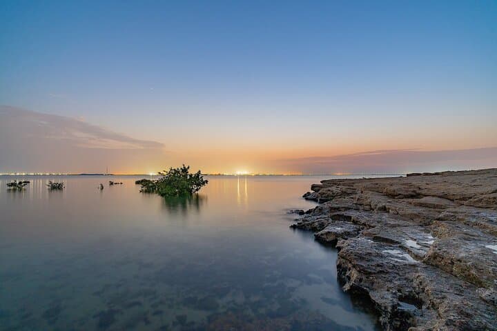 Qatar West & North Private Combo Tour — Al Zubara, Purple Island & Desert Art photo 2