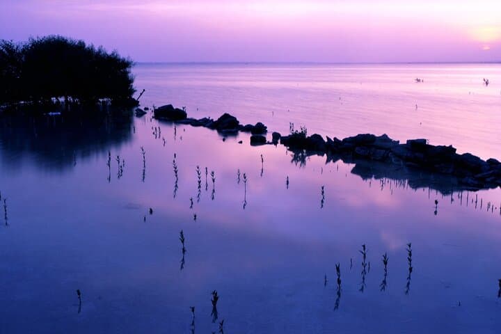 Doha Private North Qatar Tour — Mangroves, Al Khor & Al Zubarah Fort photo 3