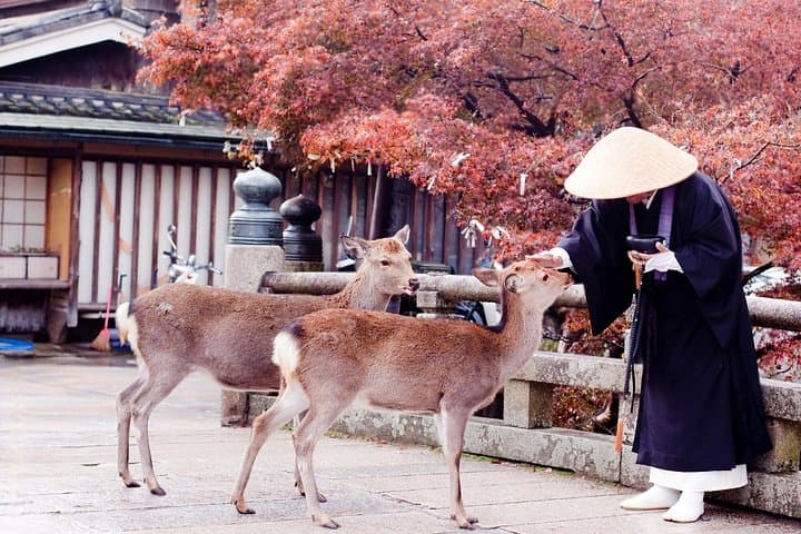 Private Nara Day Tour: Todai-ji, Deer Park & Kasuga Taisha with English-Speaking Driver