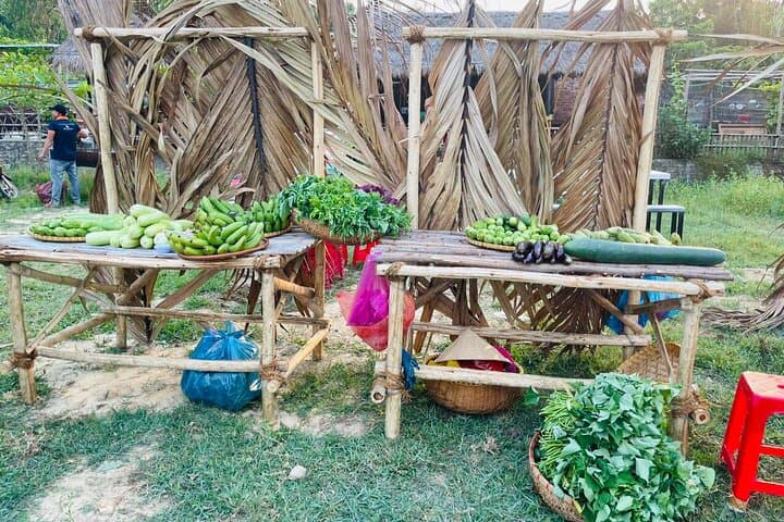 Danang Rural Tradition: Sampan Boat, Tra Que Farming & Hoi An Biking Experience photo 6