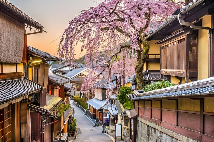 10-Day Japan Private Tour: Tokyo to Hiroshima — Essential Highlights & Tips