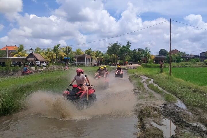 Ubud ATV Adventure: 2-Hour Quad Ride through Rice Paddies with Lunch photo 3