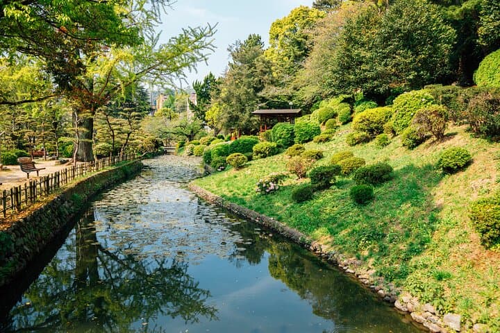 Matsuyama Private Half-Day Custom Tour: Castle Views, Onsen Culture & Local Flavors photo 3