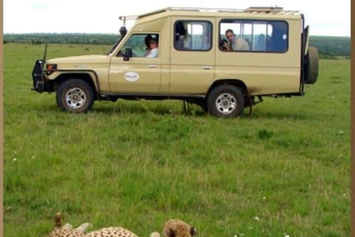 4-Day Maasai Mara & Lake Nakuru Safari: Big Cats, Flamingos & Rift Valley Views