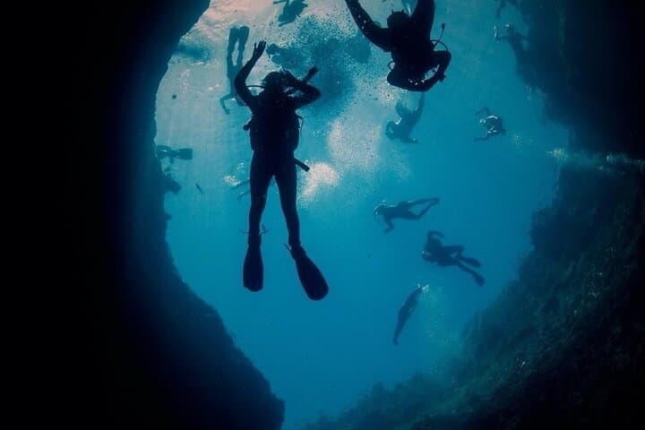 Discover Scuba Diving in Tenerife: Beginner Ocean Dive with Instructor photo 3