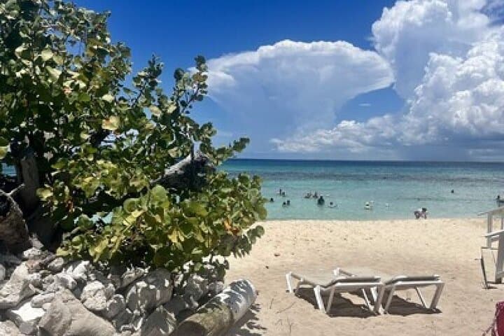 Catalina Island Snorkeling Day Trip from Bayahibe by Catamaran photo 3