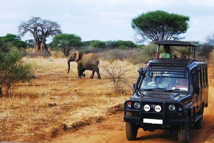 Cape Town to Johannesburg: 13-Day Best of South Africa Safari & Garden Route Adventure photo 2
