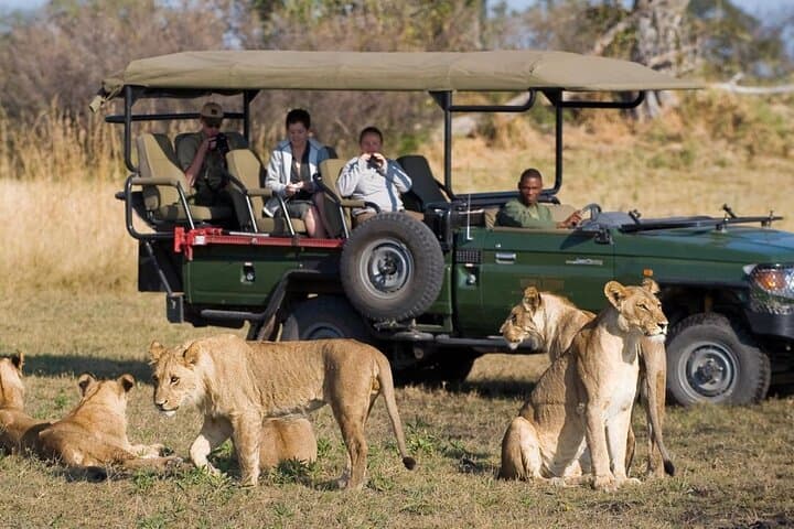 2-Day Hluhluwe & iSimangaliso Wetlands Safari from Durban — Big 5, Hippo & Croc Cruise