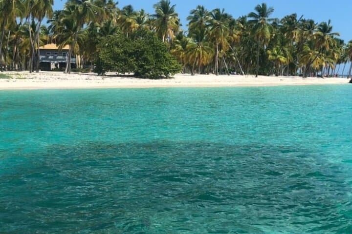 Saona Island Catamaran to Mano Juan & Natural Pool — Small-Group Day Trip from Bayahibe photo 4