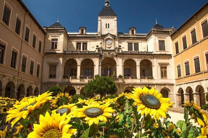 Day Trip from Lyon to Vienne by Train — Roman Ruins & Rhône River Culture photo 4