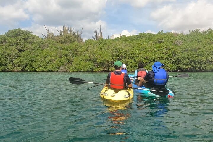 Paddle Mangel Halto & Spanish Lagoon — Kayak and Snorkel in Aruba photo 4