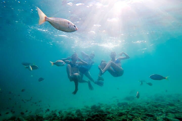 Private Catamaran Charter in Destin: Snorkel, Swim & Dolphin Watching photo 5
