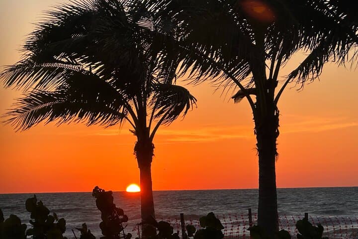 Naples Sunset Electric Trike Tour — Evening Trikke Ride from Tin City to Naples Pier photo 2