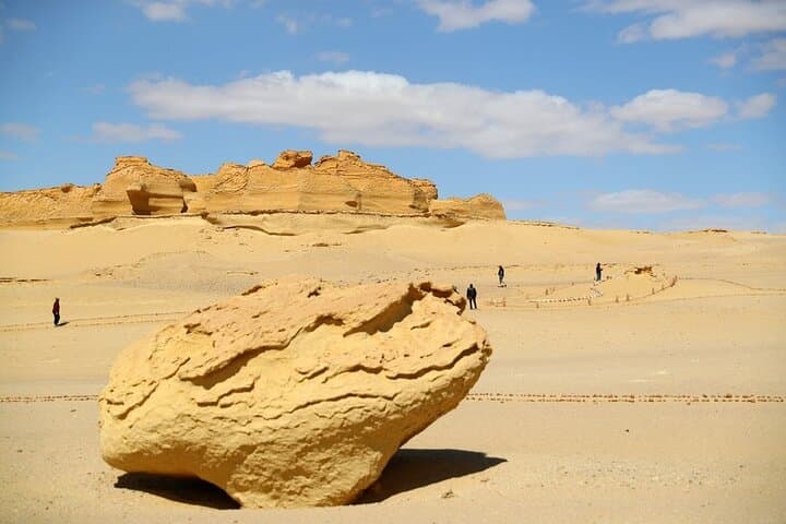 Wadi Al-Hitan Day Tour: Valley of the Whales Fossils & Desert Safari from Cairo