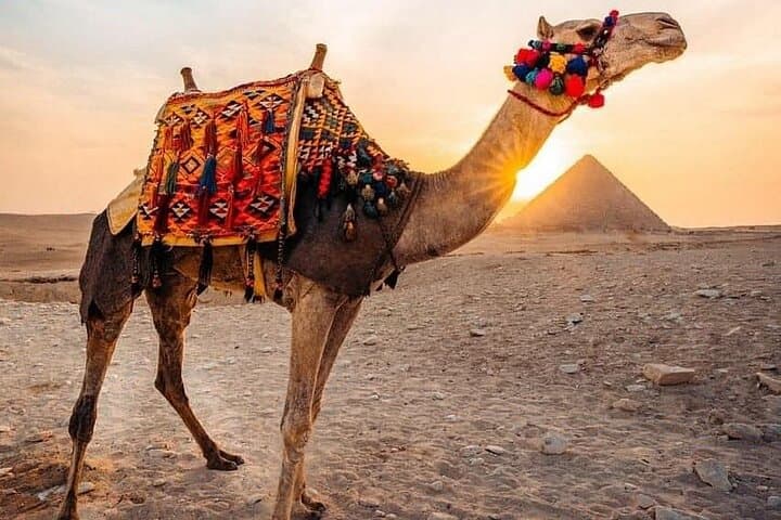 Pyramids Camel Ride from Cairo — Camelback Views of Giza Plateau