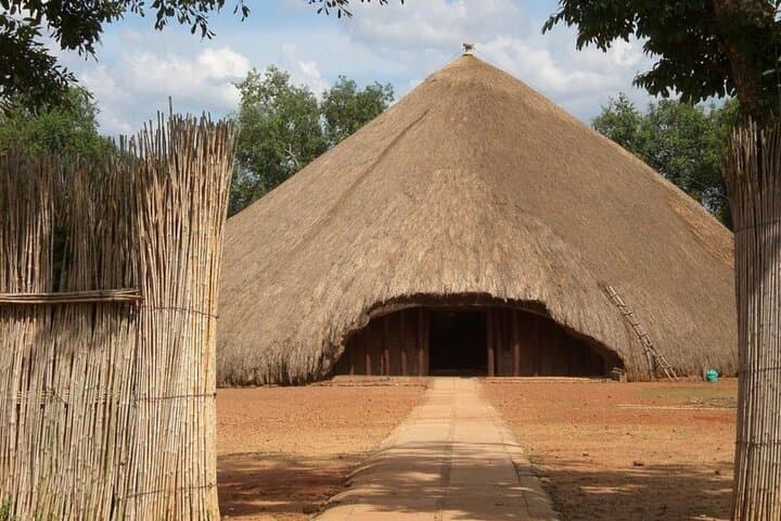 Half-Day Tala Game Reserve Safari and Phezulu Zulu Village from Durban photo 5