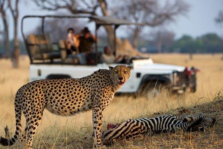 Hluhluwe‑iMfolozi Big 5 Full‑Day Safari from Durban photo 3