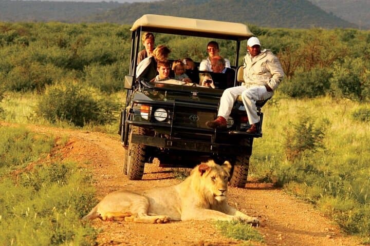 5-Day Hluhluwe, iSimangaliso & Drakensberg Private Safari from Durban photo 6