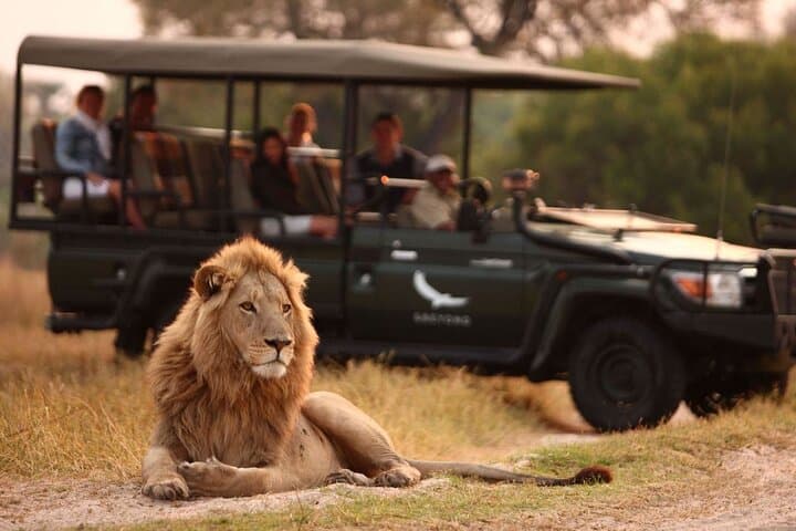 7-Day iSimangaliso, Hluhluwe & Drakensberg Safari from Durban photo 5