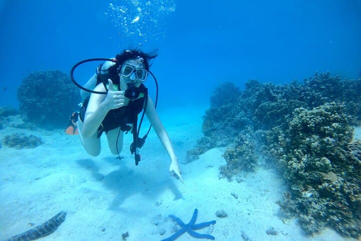 Introductory Scuba Dive at Apra Harbor: No Certification Needed photo 3